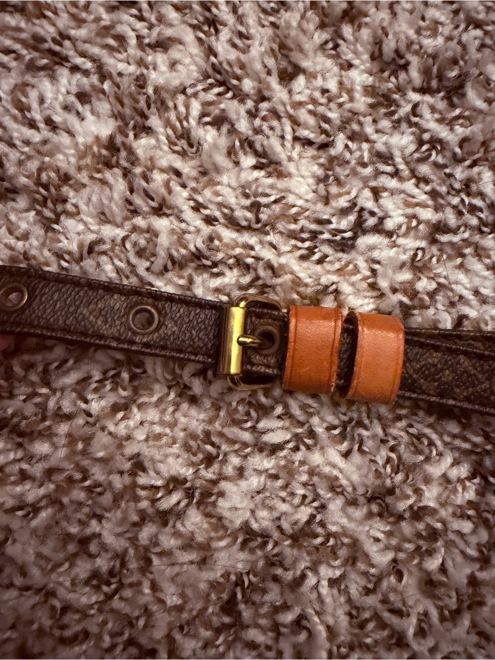 Louis Vuitton Monogram Canvas Crossbody in Brown and Tan - Picture 9 of 12